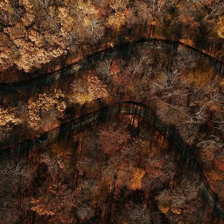 Glashütte Kisújbánya Vadászház * Hosszúhetény