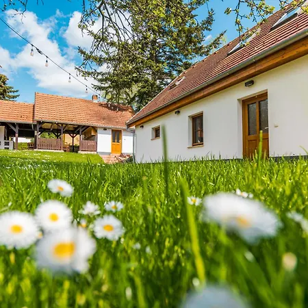 Glashütte Kisújbánya Vadászház Alpesi faház *