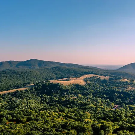 Alpesi faház Glashütte Kisújbánya Vadászház *